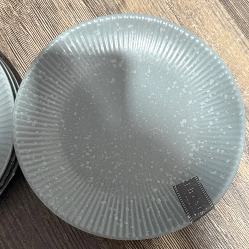 6 Elegant Gray salad Plate Set